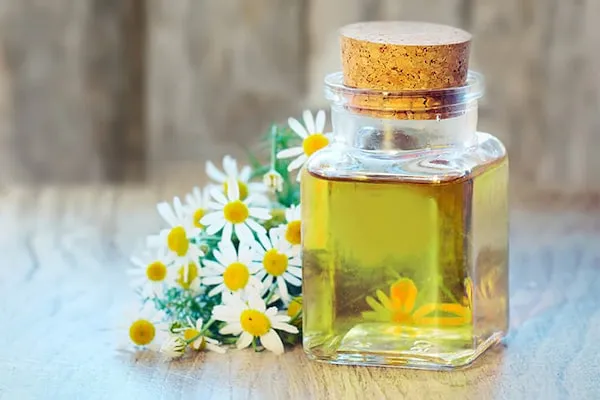 خرید و قیمت روز عرق بابونه