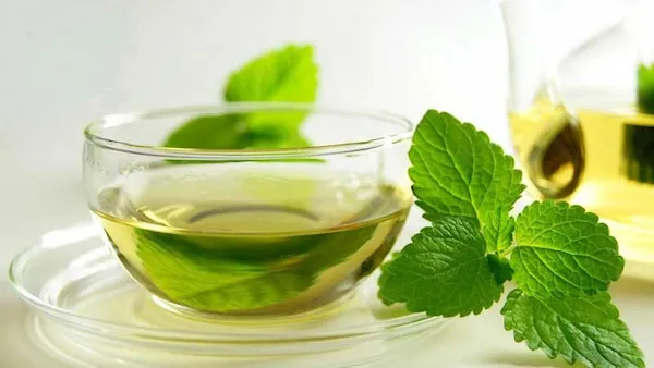 خرید عرق نعنا دو اتیشه + بهترین قیمت