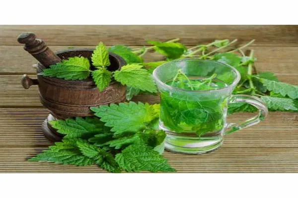 خرید عرق نعنا دو اتیشه + بهترین قیمت