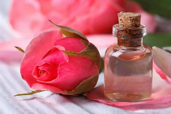 قیمت و خرید گلاب دو آتیشه + فروش ارزان