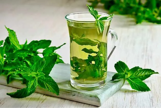 خرید و قیمت جدیدترین انواع عرق نعناع 