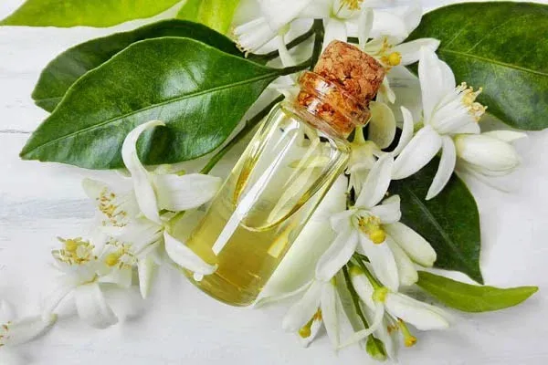 قیمت عرق بهارنارنج + مشخصات بسته بندی عمده و ارزان