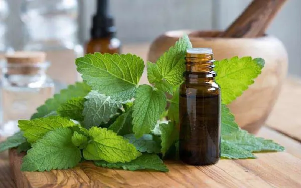 راهنمای خرید عرق بادرنجبویه + قیمت عالی