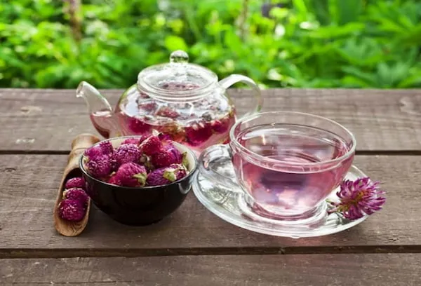 قیمت خرید عرق شاتره  + عکس
